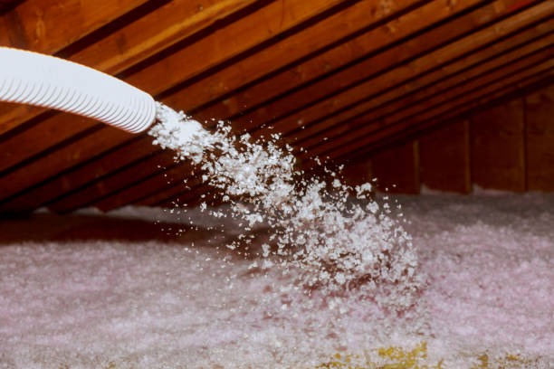 Best Garage Insulation Installation  in Coalgate, OK
